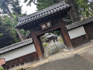 PXL_20240714_054424726