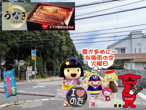 PXL_20230610_001145043