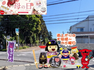 PXL_20250505_232229453