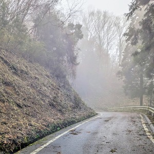 PXL_20250316_062249645~3