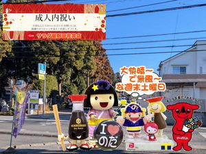 PXL_20240929_234446616