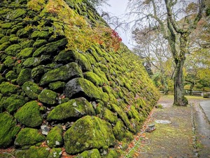 PXL_20251026_014917031~2