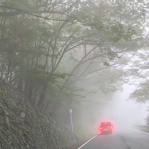いろは坂は霧
