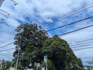 台風接近するも青空