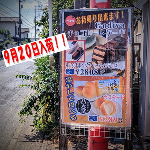 PXL_20240813_001750913.PORTRAIT