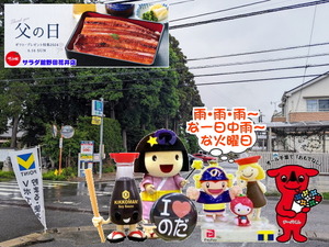 PXL_20231026_235923956