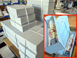 PXL_20240525_225006346