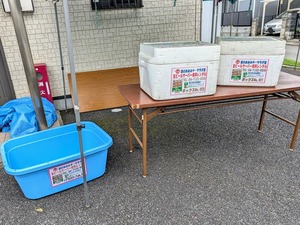 PXL_20251006_055747546