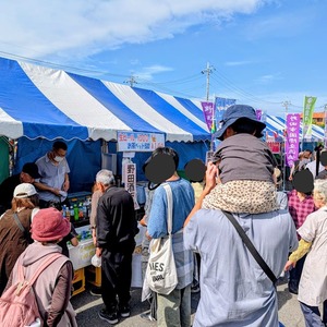 IMG_20250207_124336_optimized