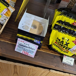 PXL_20250912_0309228152