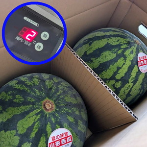 2℃のスイカ
