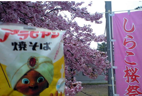 白子町・桜まつりにやって来た焼きそば王子アラビヤン