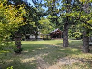 PXL_20250825_022806460