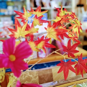 PXL_20250919_234244521.PORTRAIT