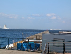 海御蛍もバッチリ見える東扇島東公園