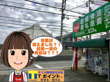 野田市の台風一過9