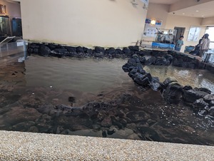 PXL_20231022_025543994