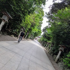 寒川神社参道