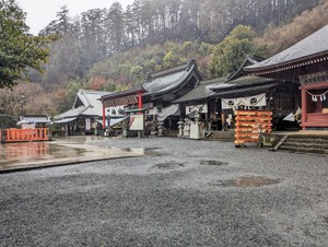 PXL_20240121_043144241