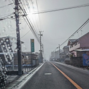 PXL_20240128_062652868