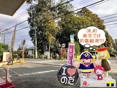 東京では初霜な寒い朝