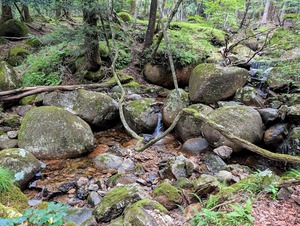 渓流・滝のある風景