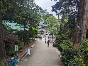 PXL_20240519_030137583