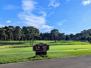 PXL_20250709_084947261