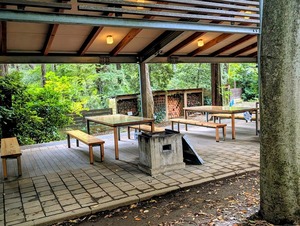 PXL_20251026_05255397