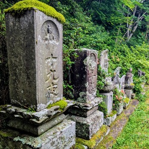 PXL_20250518_022830598~2