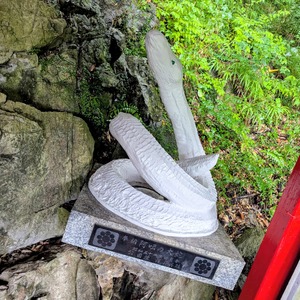 PXL_20250810_044245030~2