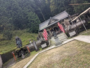 PXL_20250914_040313567