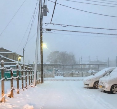 野田市大雪2018