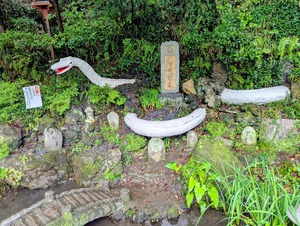 PXL_20250810_050614686~2