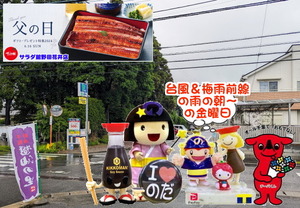 PXL_20231026_235923956