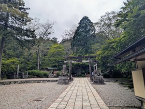 PXL_20250914_042653873