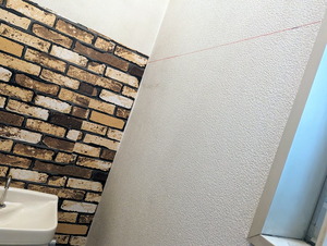 PXL_20240308_000441742