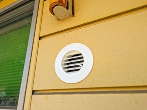 PXL_20250721_234138956.PORTRAIT