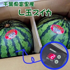 千葉県冨里産プレミアムスイカLサイズ