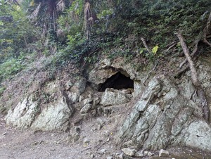 PXL_20231022_050805786