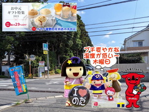 PXL_20230713_233327861