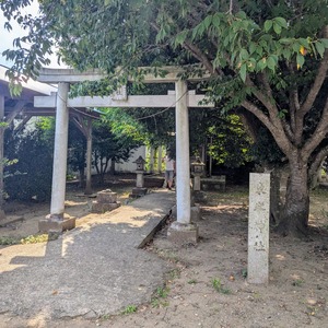 PXL_20240908_042920248