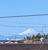 富士山が綺麗