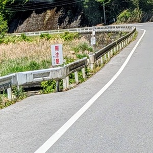 熊注意の看板