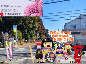 PXL_20240929_234446616