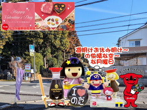 PXL_20231026_235923956