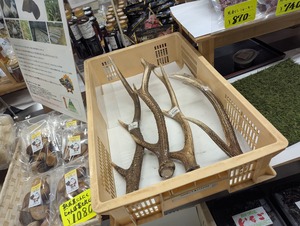 PXL_20250825_072847382