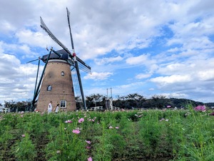 PXL_20251005_043552128~2