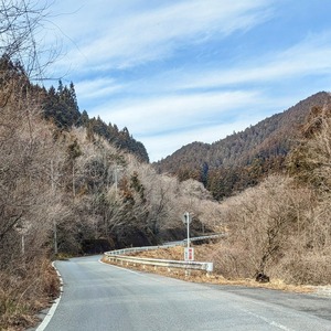 PXL_20240324_043622736~3