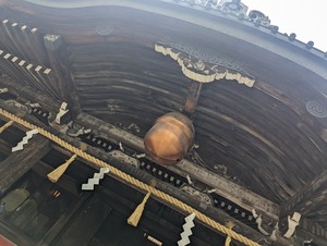 PXL_20240519_025652478